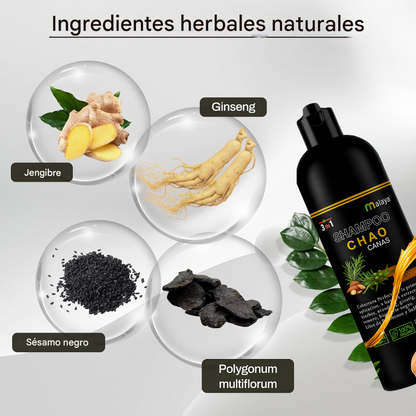 🌿 Brillo Natural 3 en 1 – Champú Cubre Canas